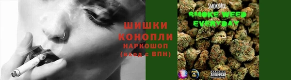 spice Зеленокумск