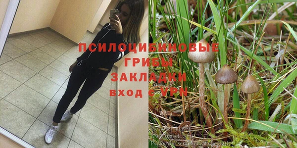 мдпв Зерноград